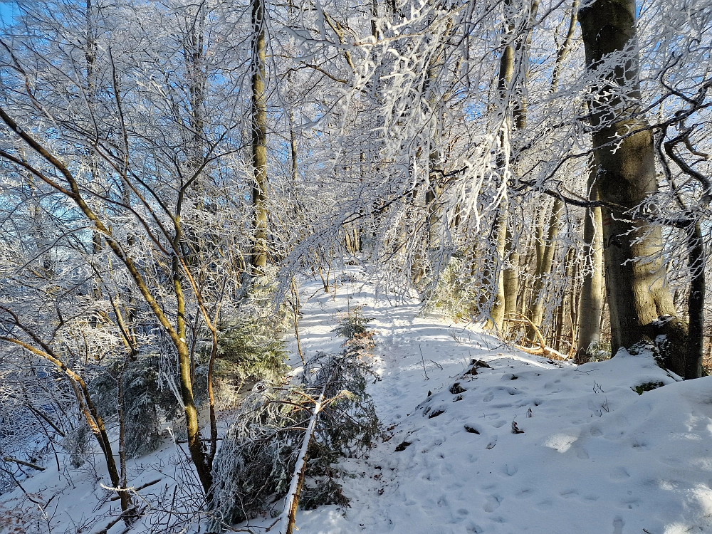 Slika je vidna v Google Chromu.