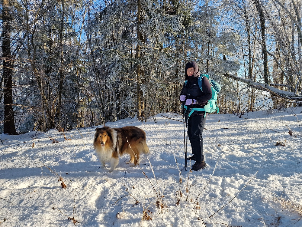 Slika je vidna v Google Chromu.