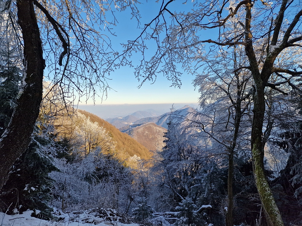 Slika je vidna v Google Chromu.