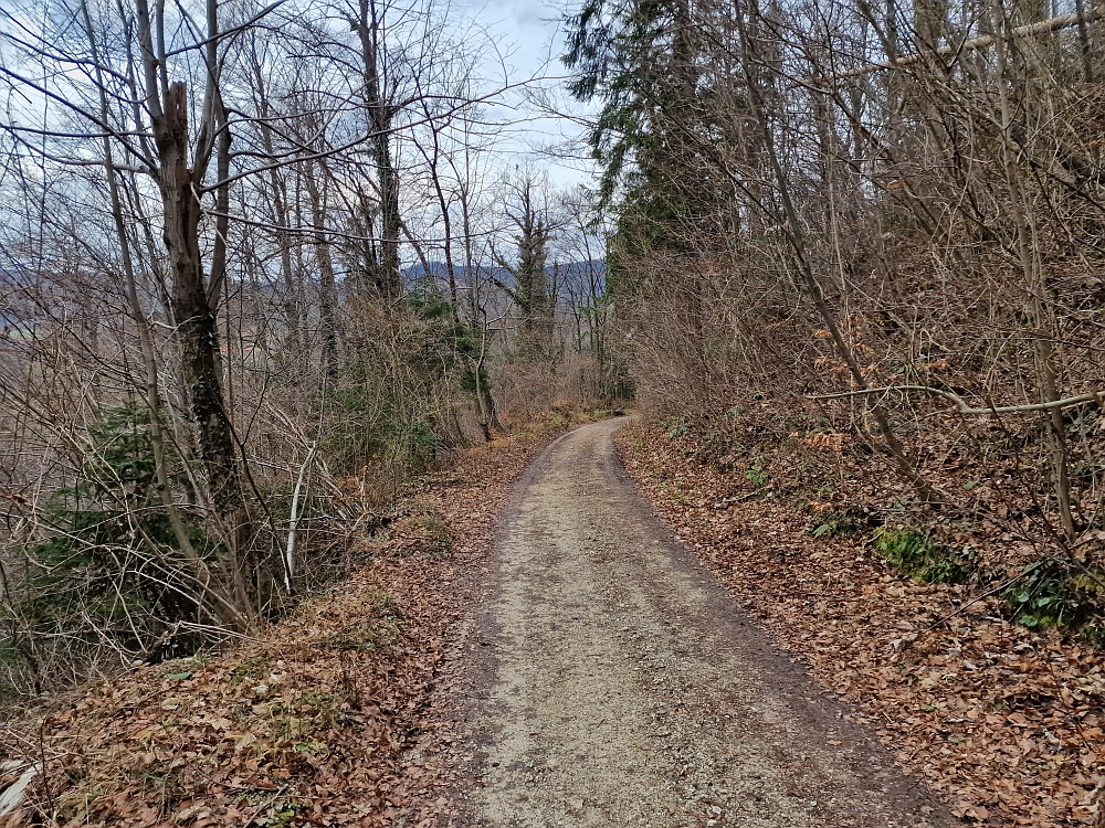 Slika je vidna v Google Chromu.