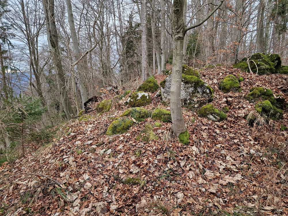 Slika je vidna v Google Chromu.