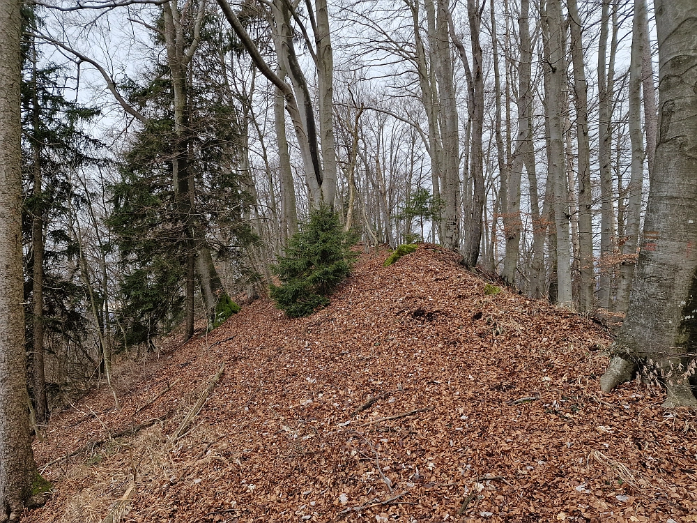Slika je vidna v Google Chromu.