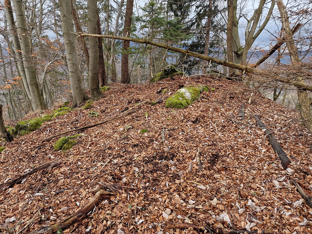 Slika je vidna v Google Chromu.