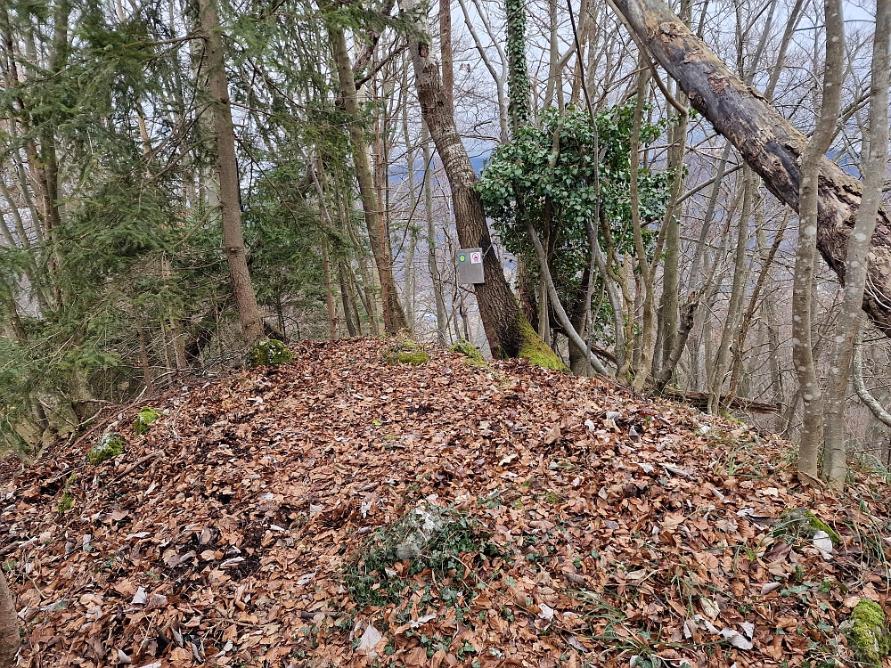 Slika je vidna v Google Chromu.