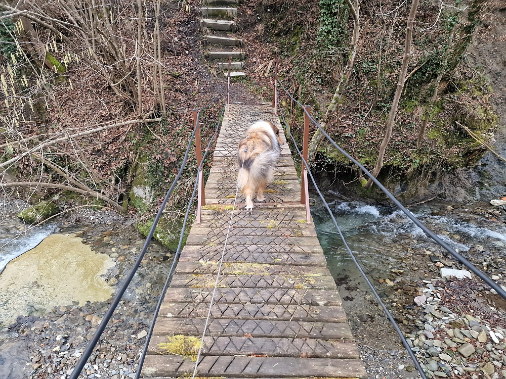 Slika je vidna v Google Chromu.