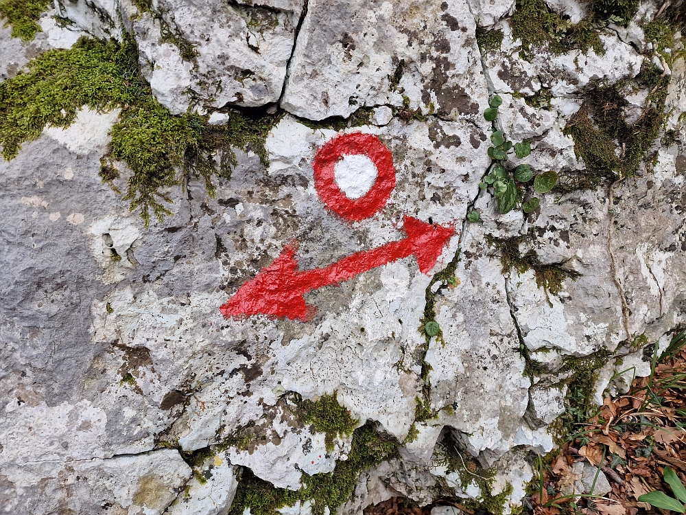 Slika je vidna v Google Chromu.