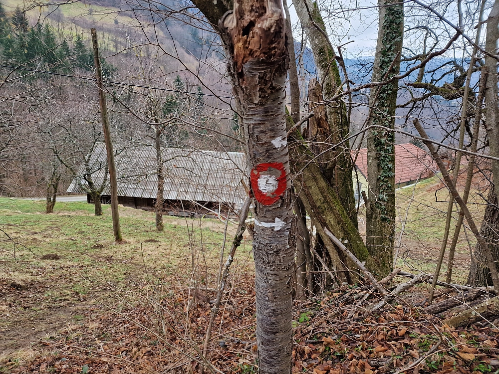 Slika je vidna v Google Chromu.