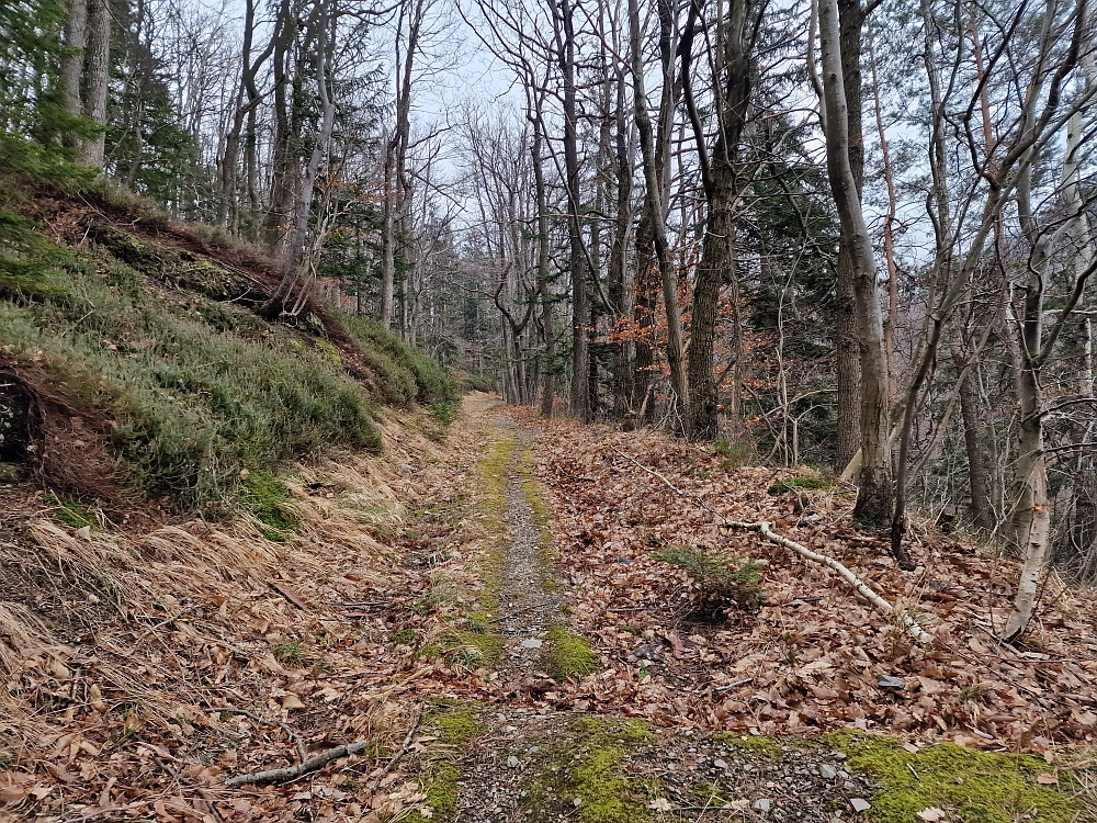 Slika je vidna v Google Chromu.