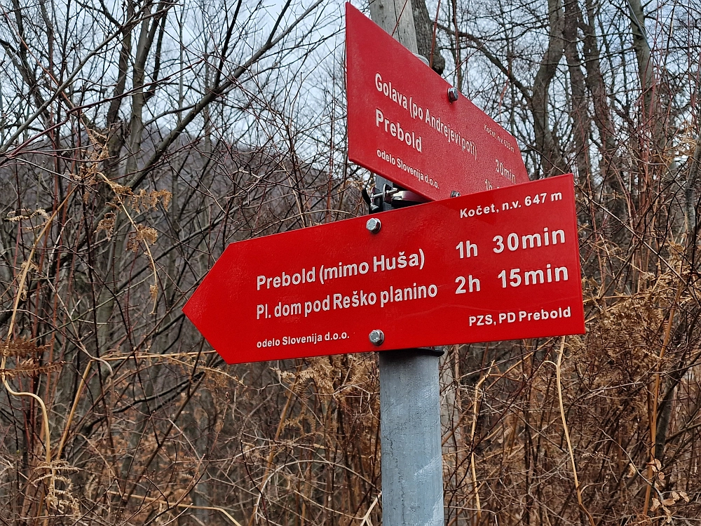 Slika je vidna v Google Chromu.