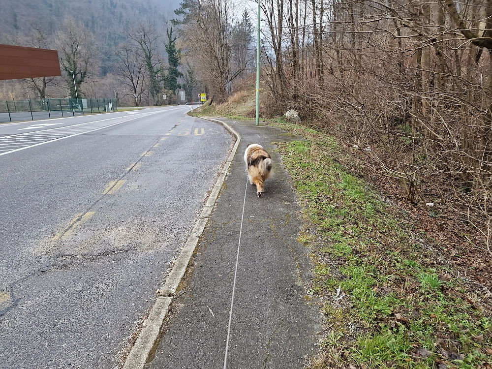 Slika je vidna v Google Chromu.