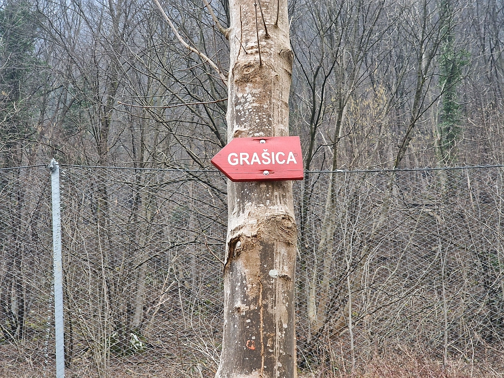 Slika je vidna v Google Chromu.