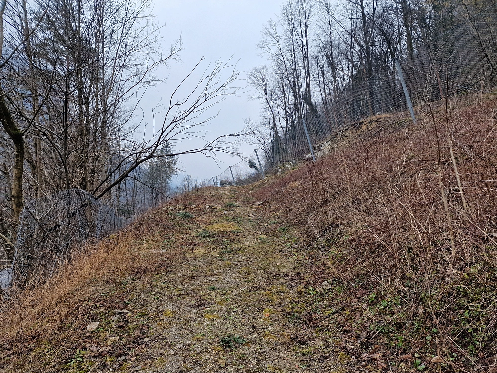 Slika je vidna v Google Chromu.