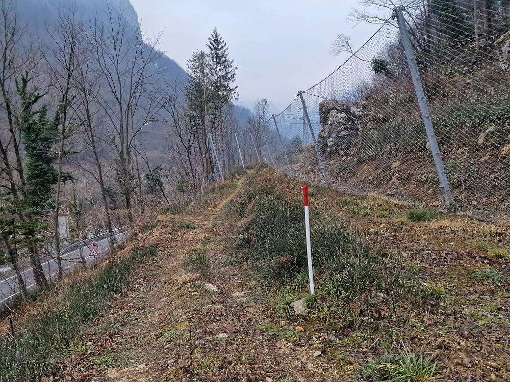 Slika je vidna v Google Chromu.