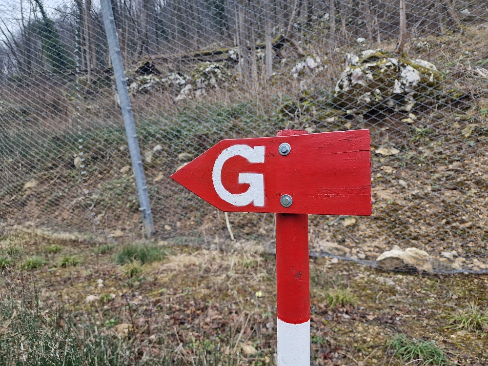 Slika je vidna v Google Chromu.