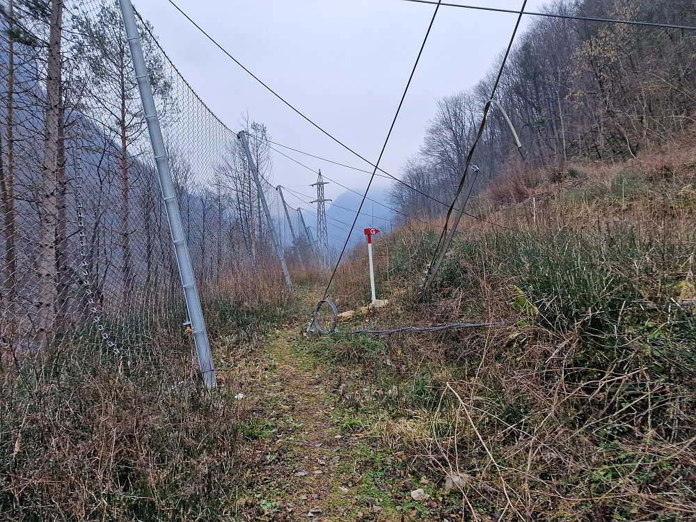 Slika je vidna v Google Chromu.