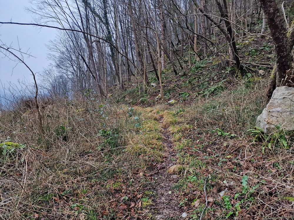 Slika je vidna v Google Chromu.