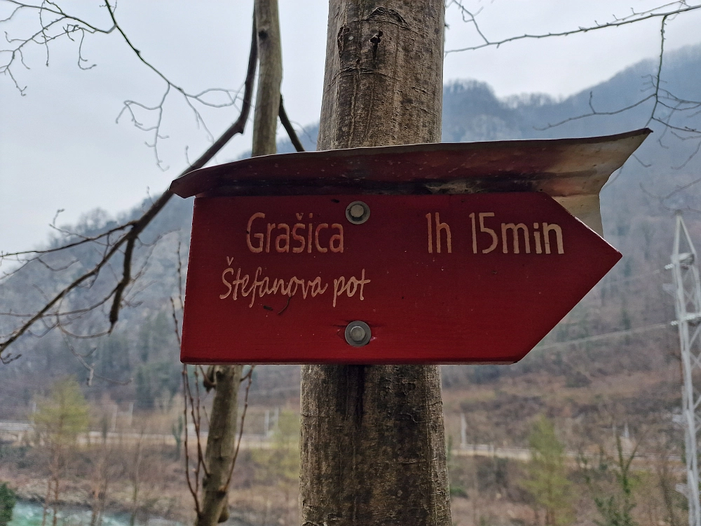 Slika je vidna v Google Chromu.