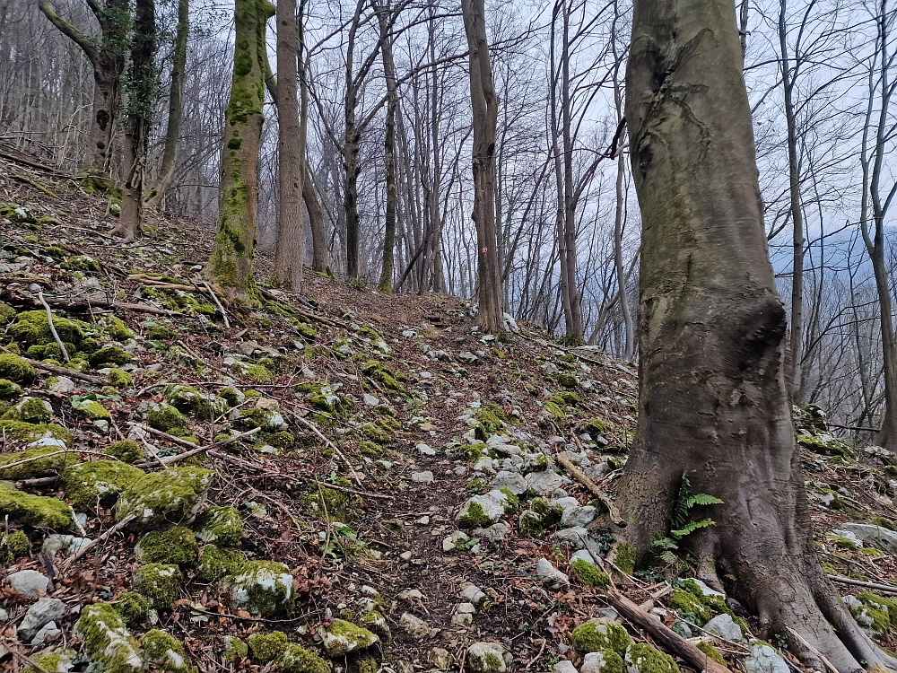 Slika je vidna v Google Chromu.