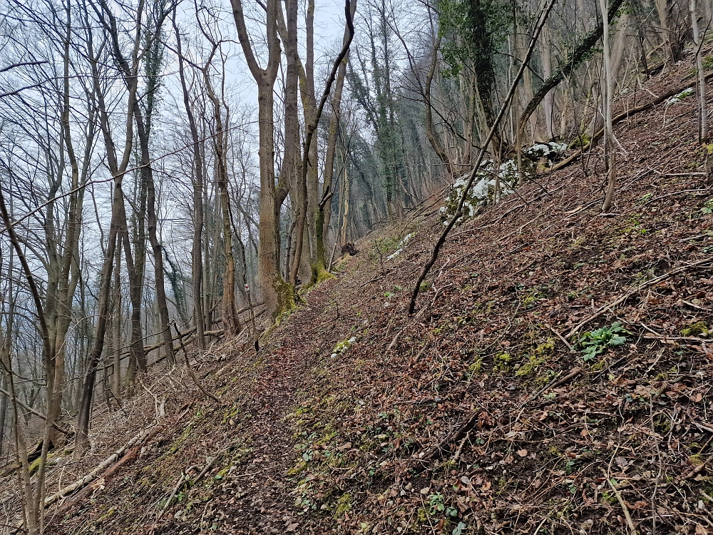 Slika je vidna v Google Chromu.