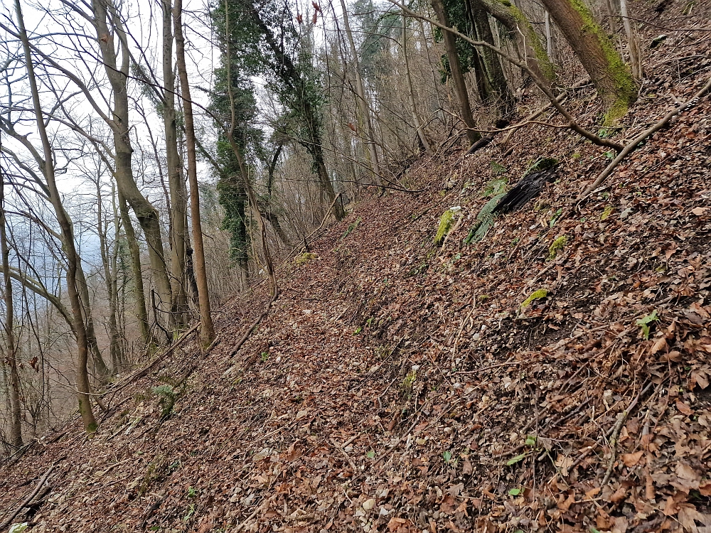 Slika je vidna v Google Chromu.