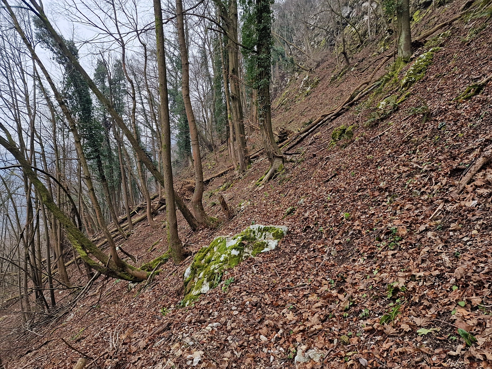 Slika je vidna v Google Chromu.
