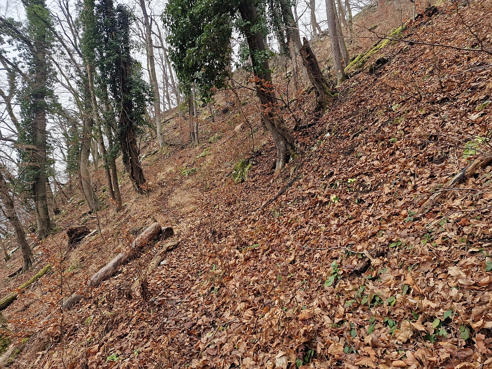 Slika je vidna v Google Chromu.