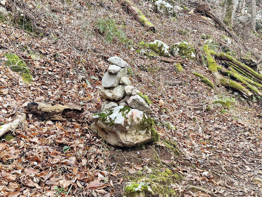 Slika je vidna v Google Chromu.