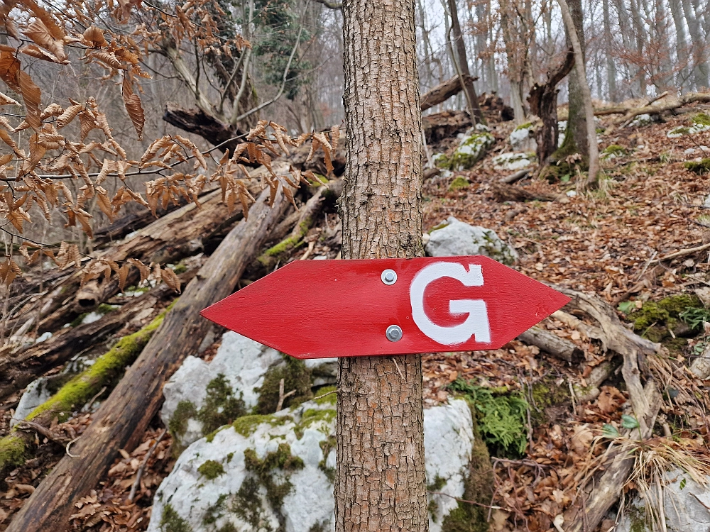 Slika je vidna v Google Chromu.