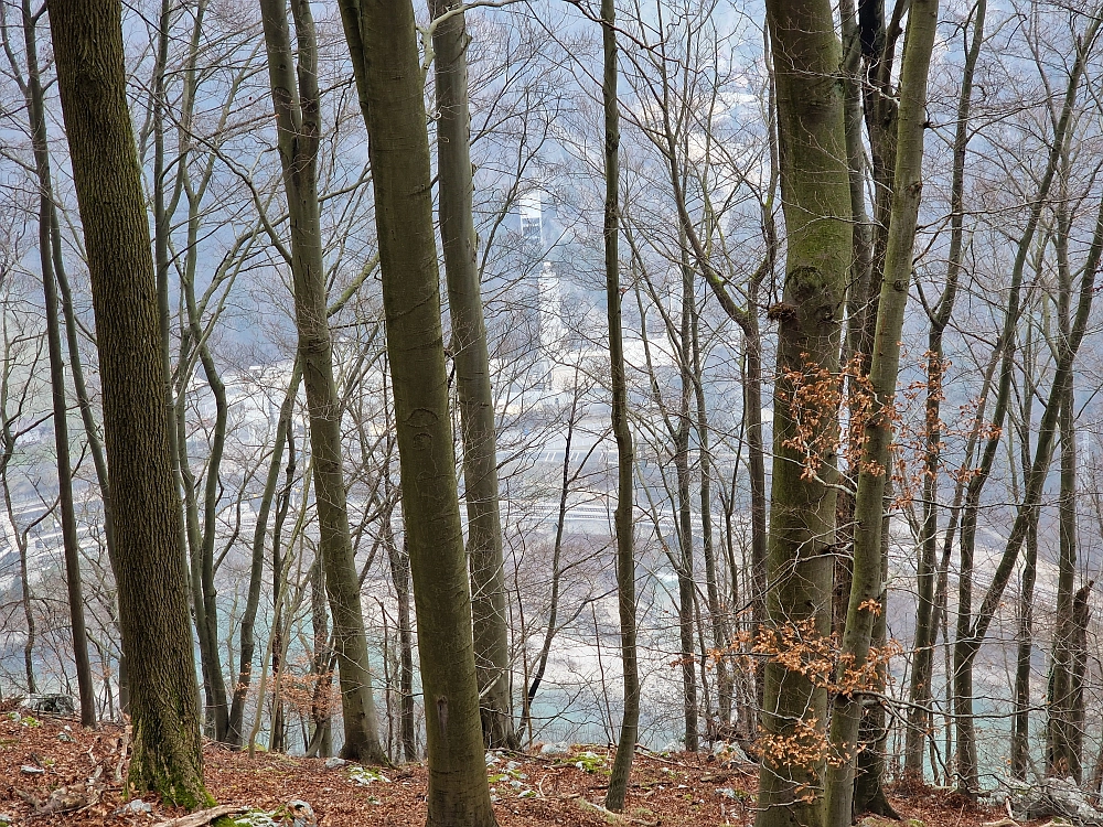 Slika je vidna v Google Chromu.