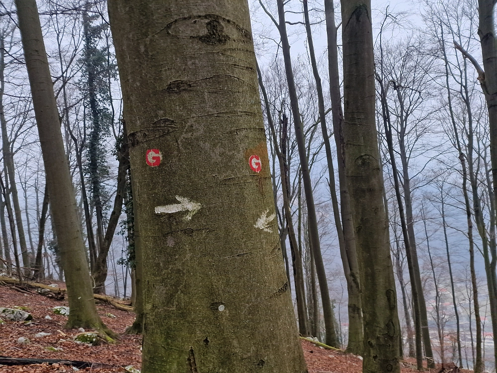 Slika je vidna v Google Chromu.