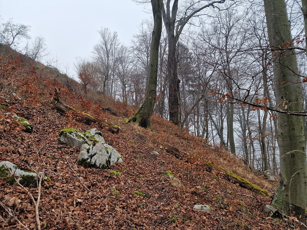 Slika je vidna v Google Chromu.