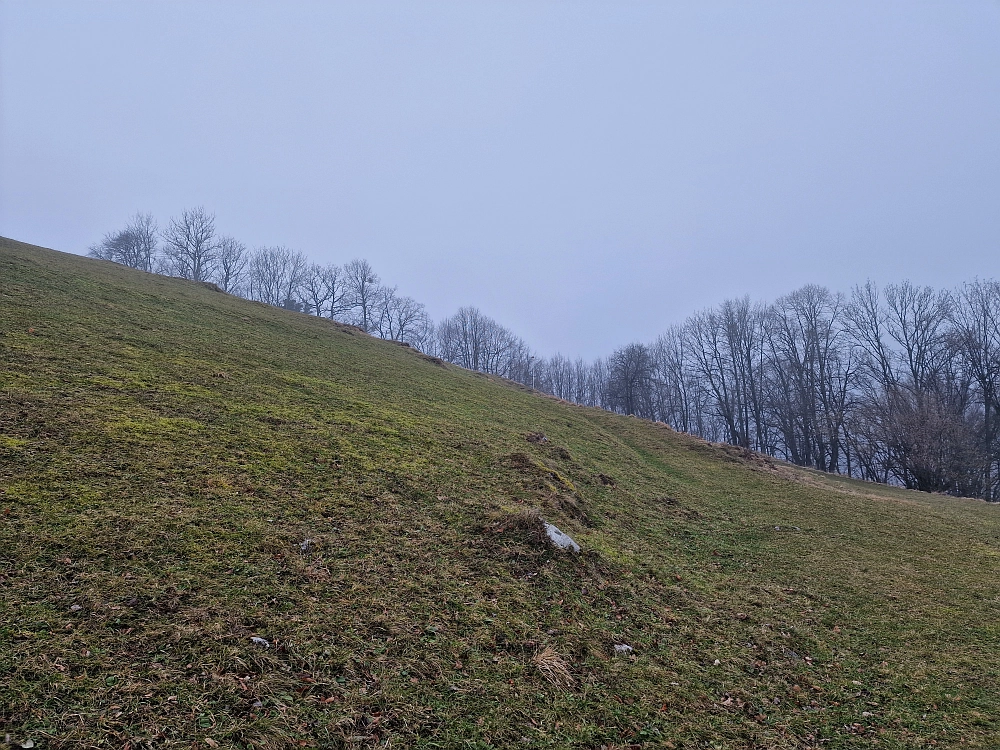Slika je vidna v Google Chromu.