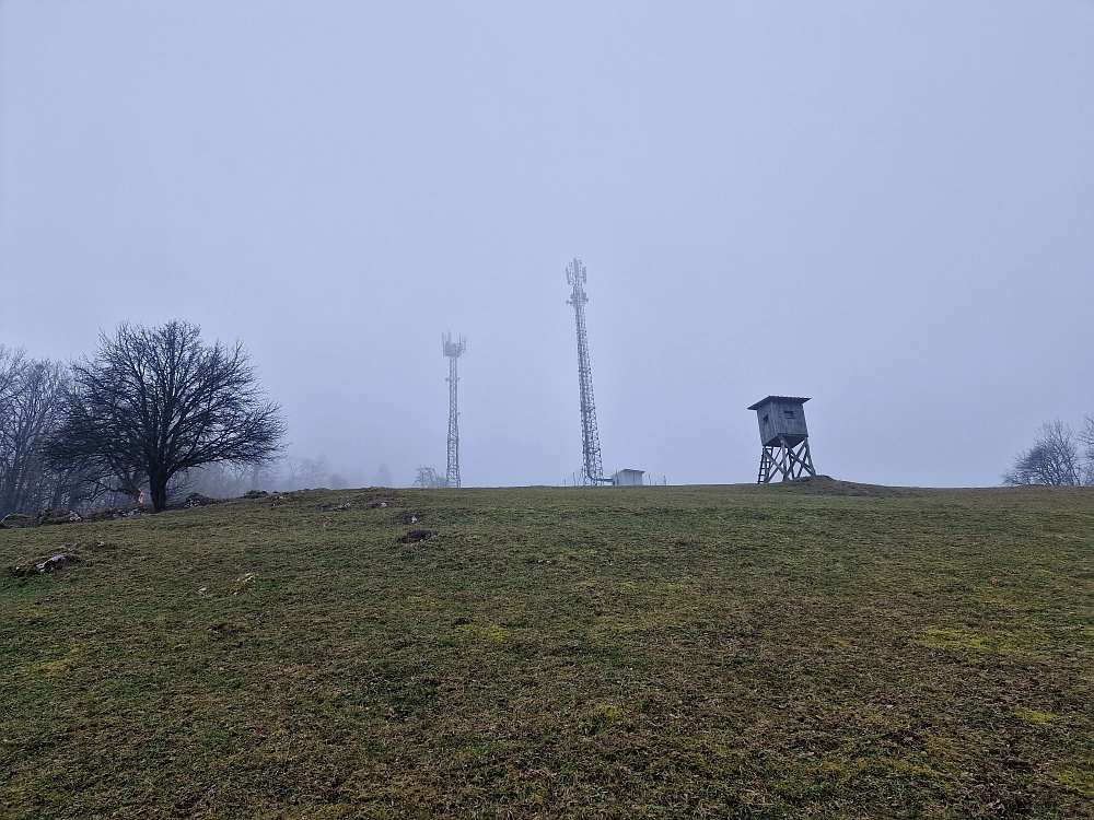 Slika je vidna v Google Chromu.