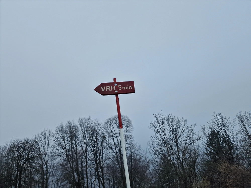 Slika je vidna v Google Chromu.