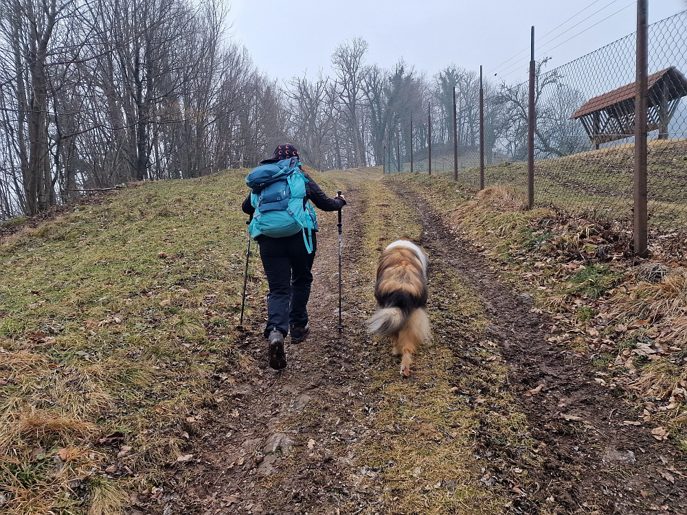 Slika je vidna v Google Chromu.