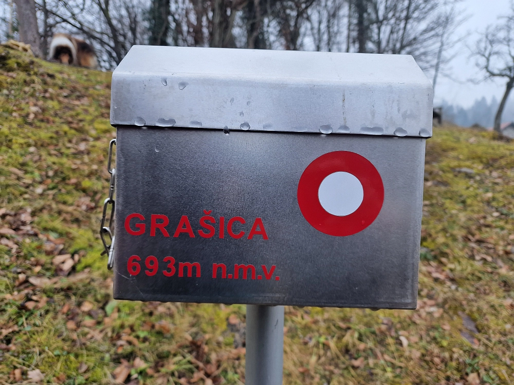 Slika je vidna v Google Chromu.