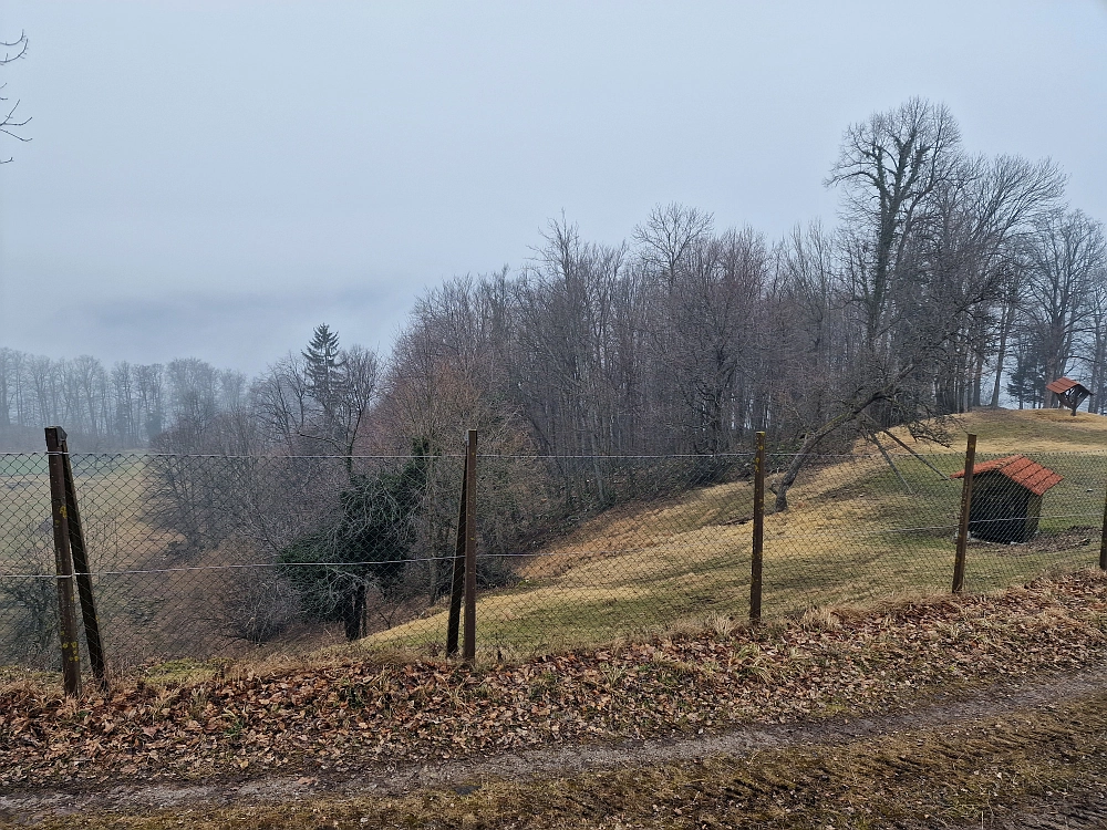 Slika je vidna v Google Chromu.