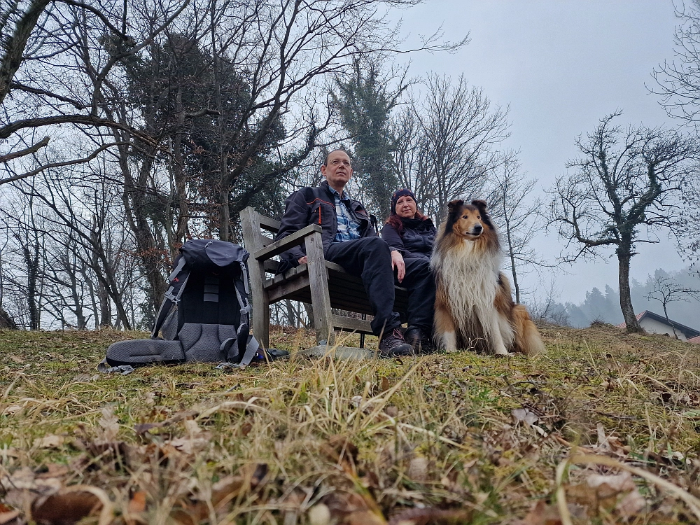 Slika je vidna v Google Chromu.