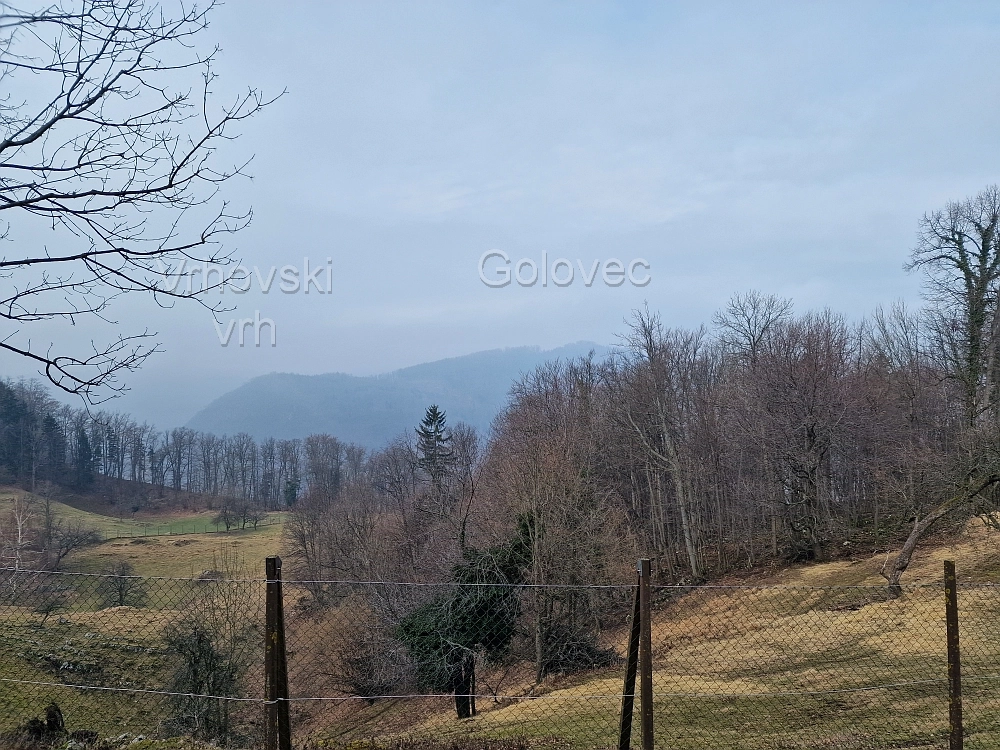 Slika je vidna v Google Chromu.