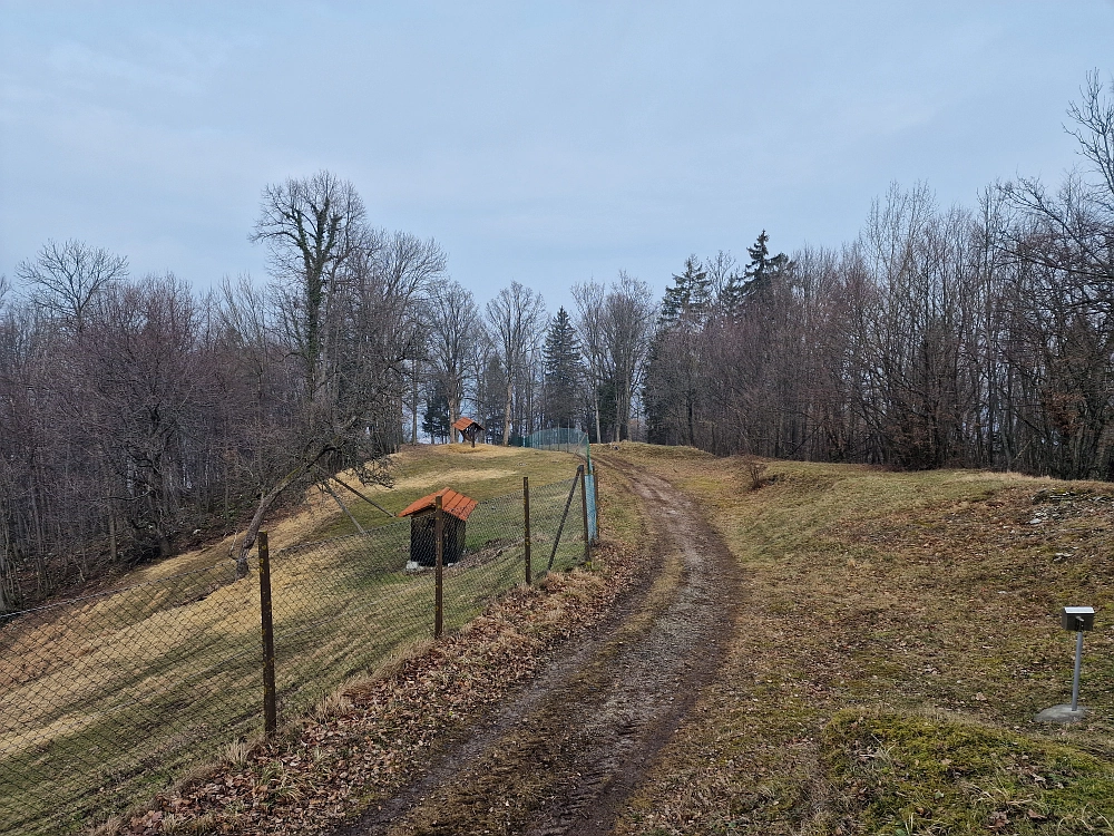 Slika je vidna v Google Chromu.