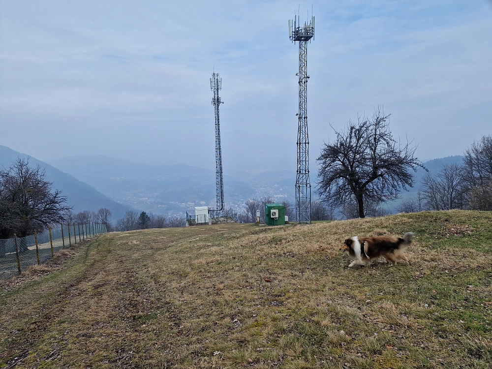 Slika je vidna v Google Chromu.