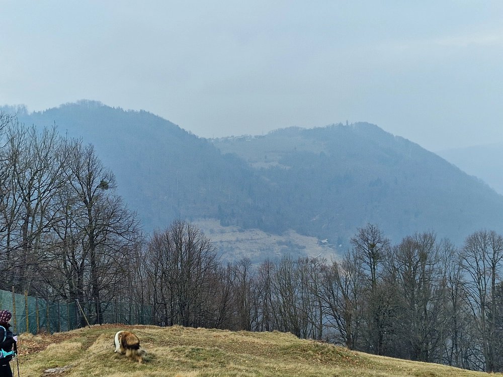 Slika je vidna v Google Chromu.