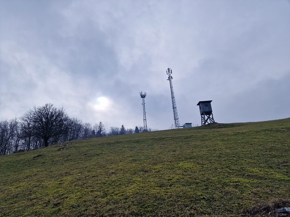 Slika je vidna v Google Chromu.
