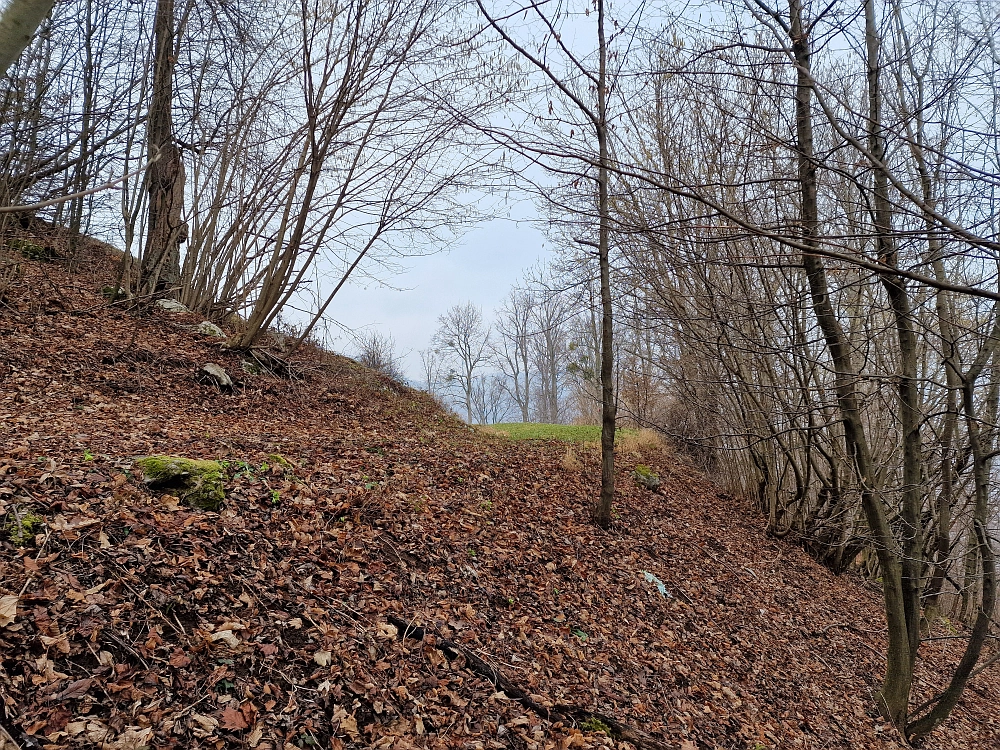 Slika je vidna v Google Chromu.