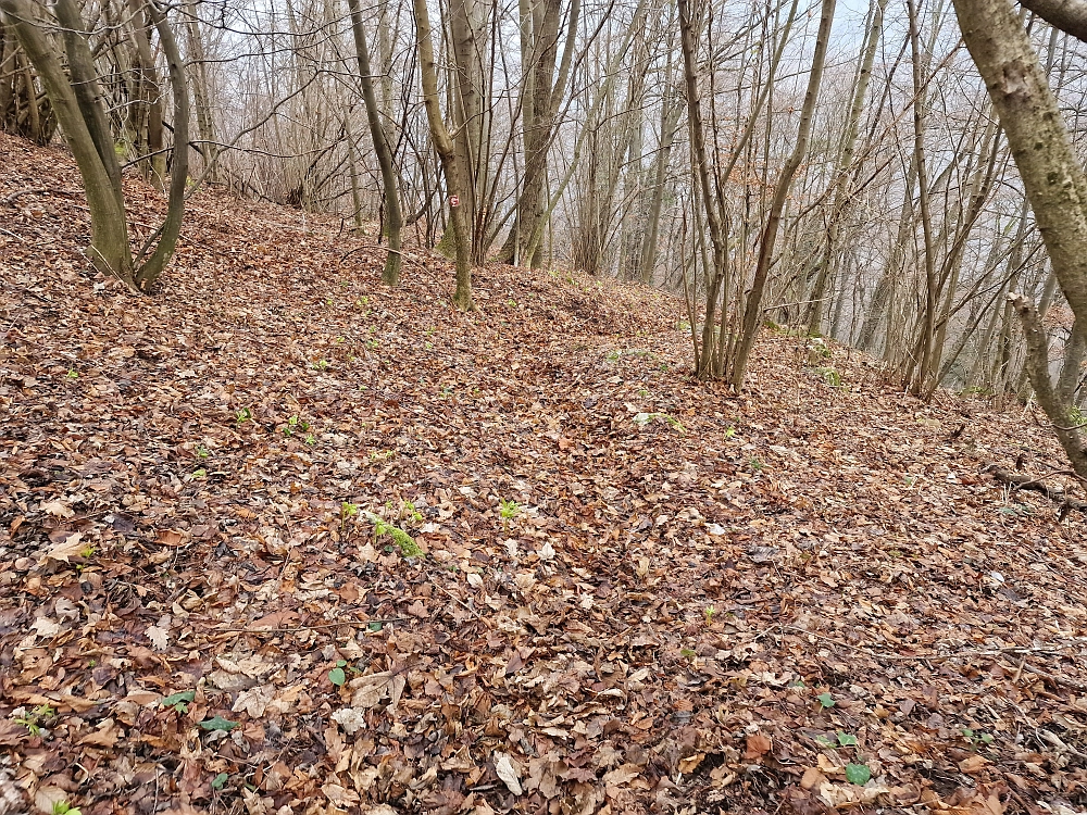 Slika je vidna v Google Chromu.