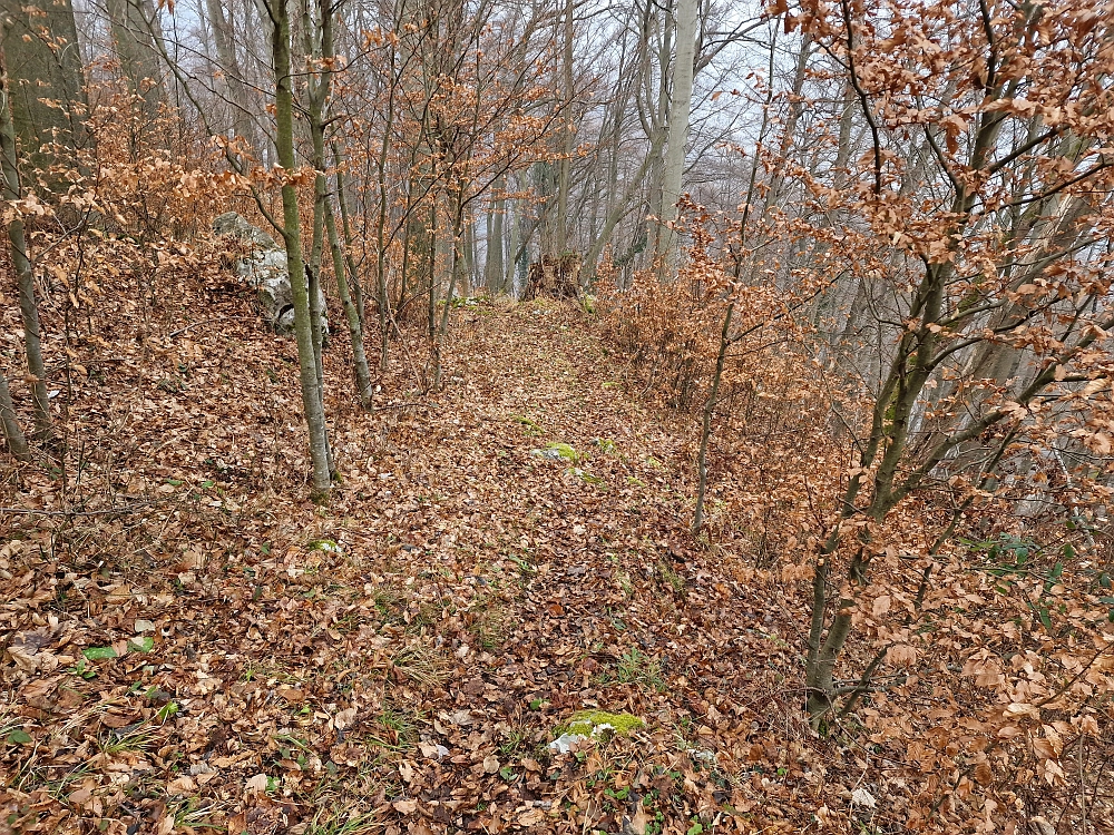 Slika je vidna v Google Chromu.