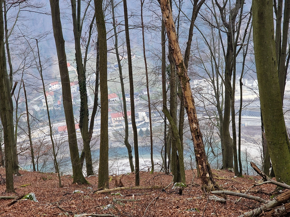 Slika je vidna v Google Chromu.