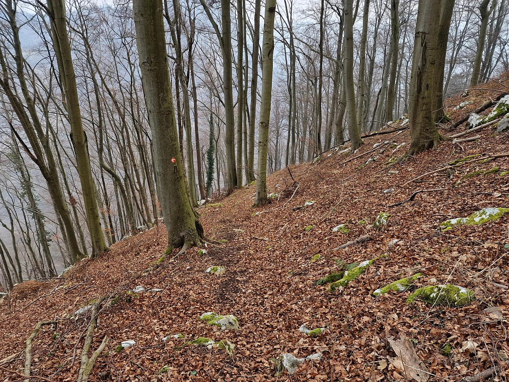 Slika je vidna v Google Chromu.