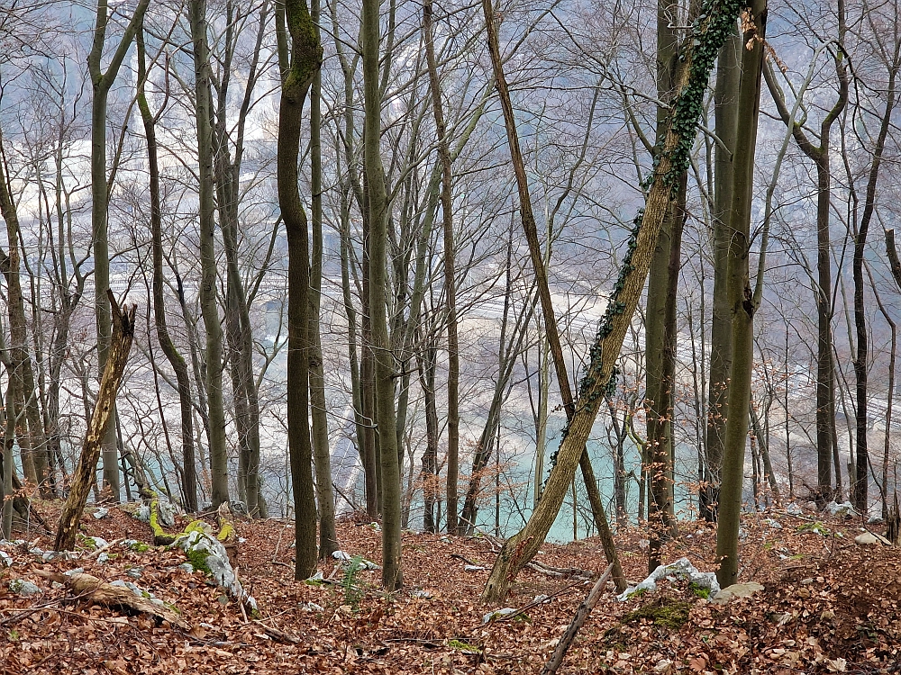 Slika je vidna v Google Chromu.