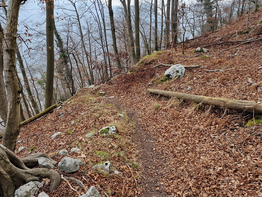 Slika je vidna v Google Chromu.